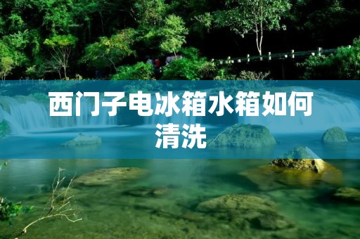西门子电冰箱水箱如何清洗 西门子电冰箱水箱如何清洗
