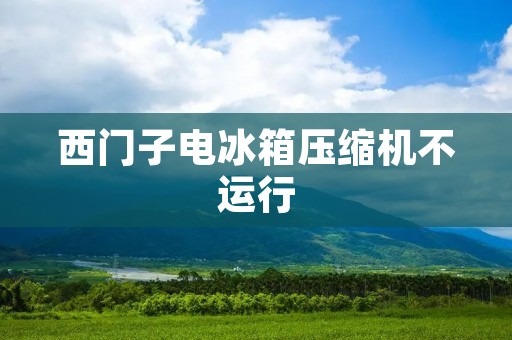 西门子电冰箱压缩机不运行:故障排除及维修指南