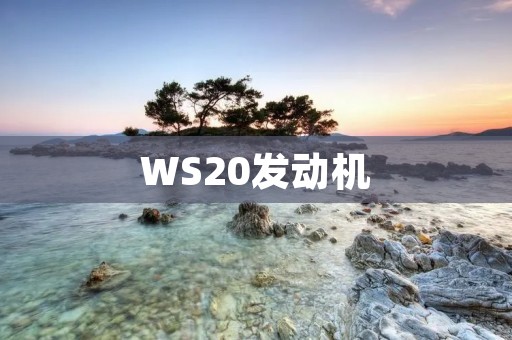 WS20发动机：高性能引擎的领军者