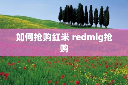 如何抢购红米 redmig抢购