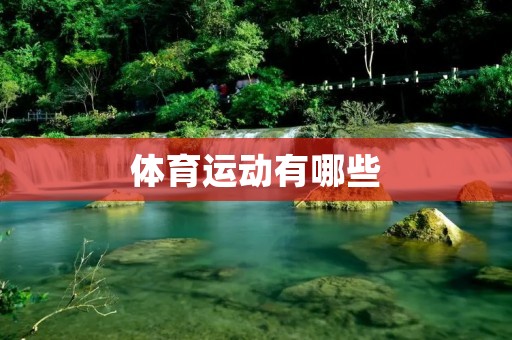 体育运动有哪些