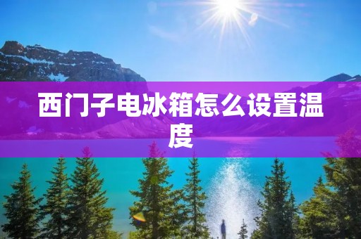 西门子电冰箱怎么设置温度