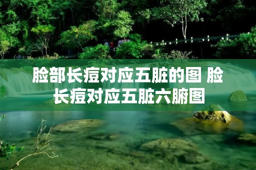 脸部长痘对应五脏的图 脸长痘对应五脏六腑图