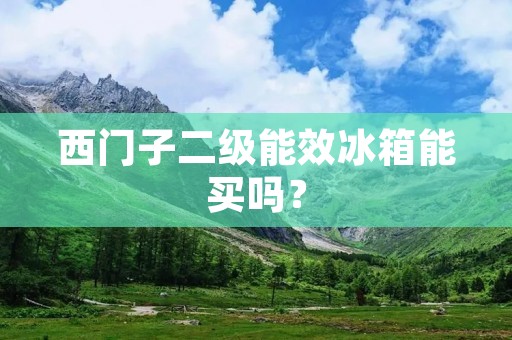 西门子二级能效冰箱能买吗？