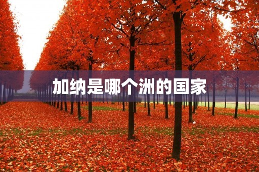 加纳是哪个洲的国家