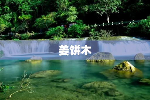 姜饼木：追溯历史的神奇材料