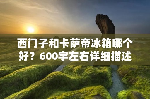 西门子和卡萨帝冰箱哪个好？600字左右详细描述