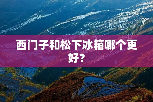 西门子和松下冰箱哪个更好? 西门子和松下冰箱哪个更好?