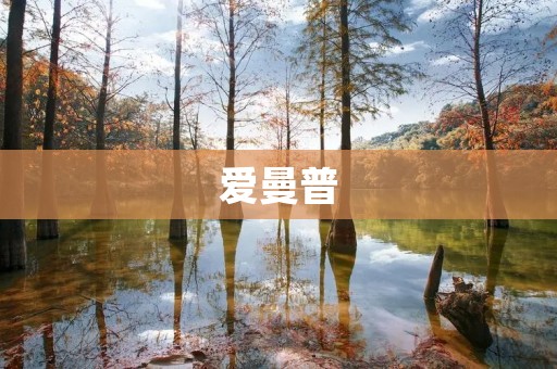 爱曼普：探索传统与创新的完美结合