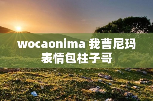 wocaonima 我曹尼玛表情包柱子哥 wocaonima 我曹尼玛表情包柱子哥