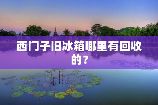 西门子旧冰箱哪里有回收的？
