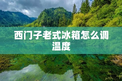西门子老式冰箱怎么调温度