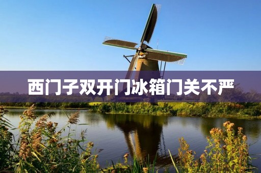 西门子**门冰箱门关不严:解决方法及维修建议 西门子**门冰箱门关不严:解决方法及维修建议