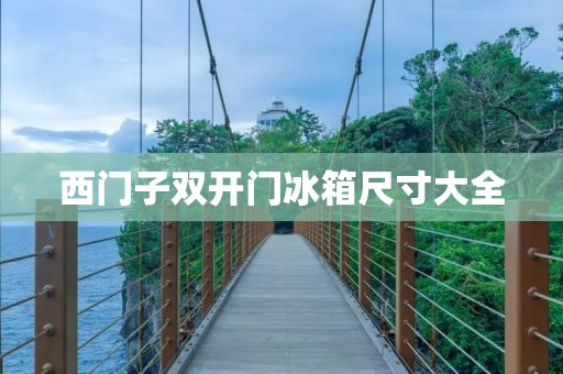 西门子**门冰箱尺寸大全 西门子**门冰箱尺寸大全