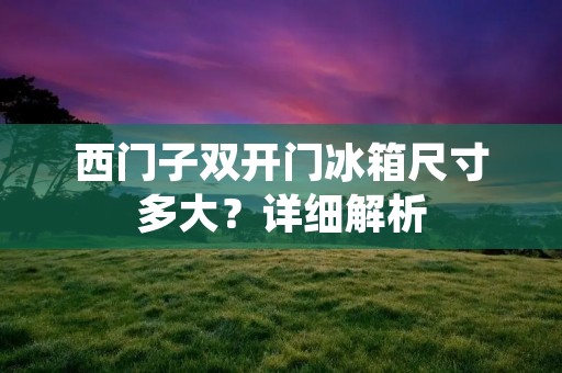 西门子**门冰箱尺寸多大?详细解析 西门子**门冰箱尺寸多大?详细解析