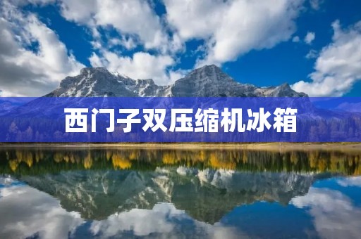 西门子双压缩机冰箱：高品质与卓越性能的完美结合