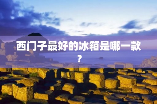 西门子最好的冰箱是哪一款? 西门子最好的冰箱是哪一款?