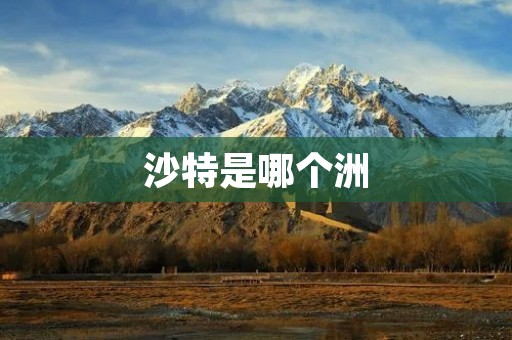 沙特是哪个洲 沙特是哪个洲