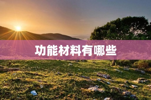 功能材料有哪些
