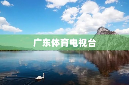 广东体育电视台：为广东体育事业注入新活力