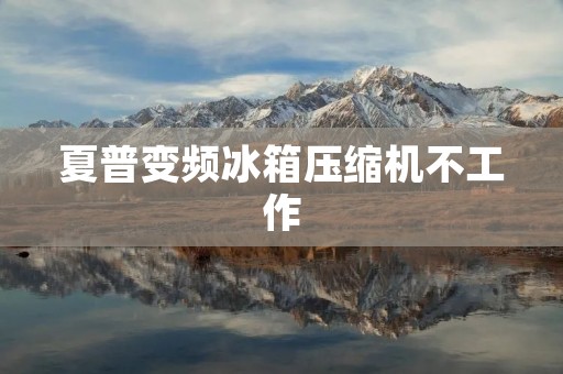 夏普变频冰箱压缩机不工作:原因及解决方法 夏普变频冰箱压缩机不工作:原因及解决方法