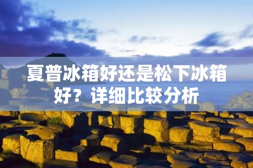 夏普冰箱好还是松下冰箱好？详细比较分析
