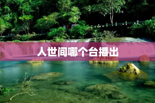 人世间哪个台播出