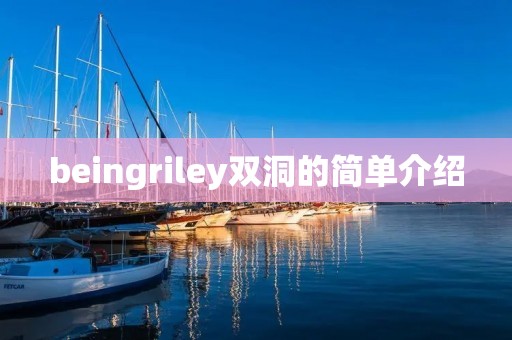 beingriley双洞的简单介绍