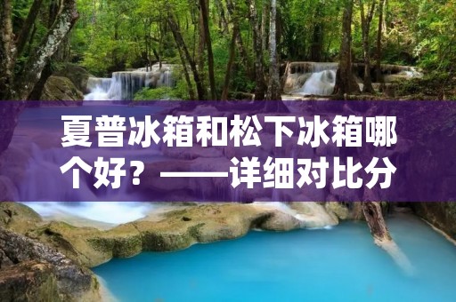 夏普冰箱和松下冰箱哪个好?——详细对比分析 夏普冰箱和松下冰箱哪个好?——详细对比分析