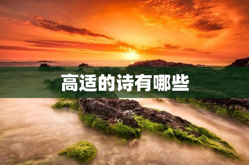 高适的诗有哪些