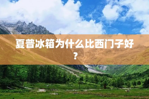 夏普冰箱为什么比西门子好? 夏普冰箱为什么比西门子好?