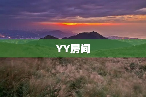 YY房间：打造属于你的虚拟社交天地