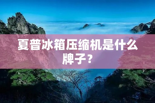 夏普冰箱压缩机是什么牌子？