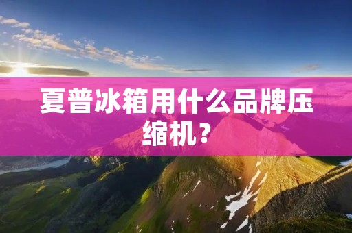 夏普冰箱用什么品牌压缩机？