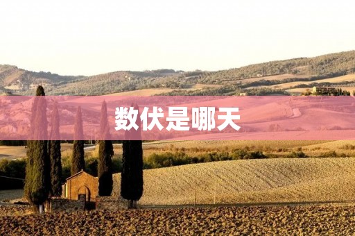 数伏是哪天