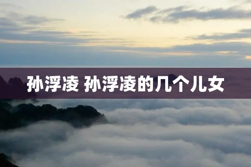 孙浮凌 孙浮凌的几个儿女