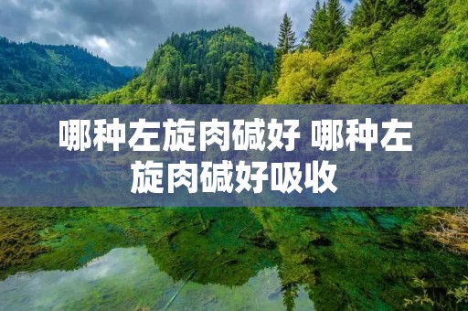 哪种左旋肉碱好 哪种左旋肉碱好吸收