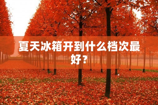 夏天冰箱开到什么档次最好？