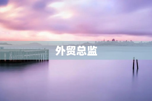 外贸总监:打造全球贸易的引领者 外贸总监:打造全球贸易的引领者
