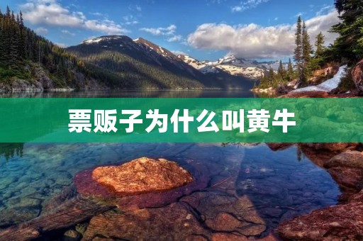 票贩子为什么叫黄牛:探究背后的历史与文化 票贩子为什么叫黄牛:探究背后的历史与文化