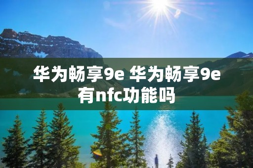 华为畅享9e 华为畅享9e有nfc功能吗