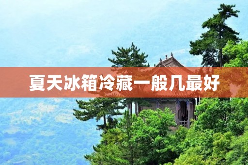 夏天冰箱冷藏一般几最好：详细解析