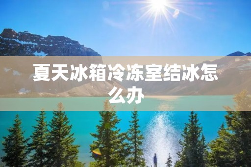 夏天冰箱冷冻室结冰怎么办