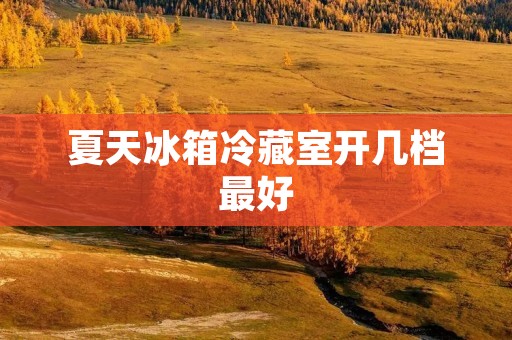 夏天冰箱冷藏室开几档最好:合理调节温度,享受清凉夏日 夏天冰箱冷藏室开几档最好:合理调节温度,享受清凉夏日