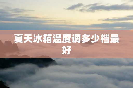 夏天冰箱温度调多少档最好 夏天冰箱温度调多少档最好
