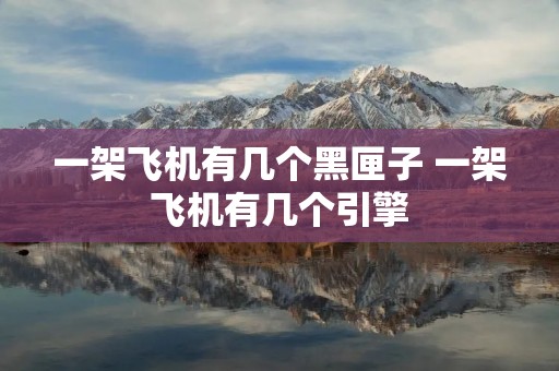 一架飞机有几个黑匣子 一架飞机有几个引擎 一架飞机有几个黑匣子 一架飞机有几个引擎