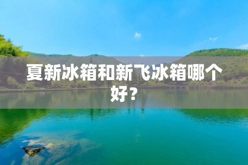 夏新冰箱和新飞冰箱哪个好？