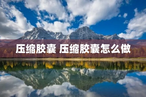 压缩胶囊 压缩胶囊怎么做