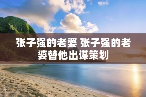 张子强的老婆 张子强的老婆替他出谋策划