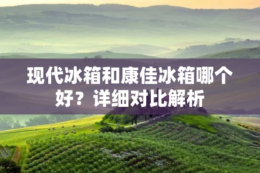 现代冰箱和康佳冰箱哪个好?详细对比解析 现代冰箱和康佳冰箱哪个好?详细对比解析
